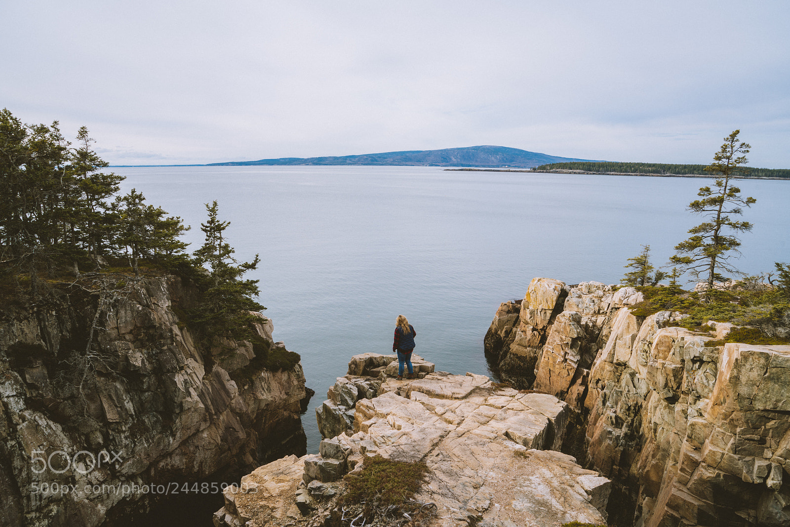 Sony a7R II sample photo. Acadia gems from the photography