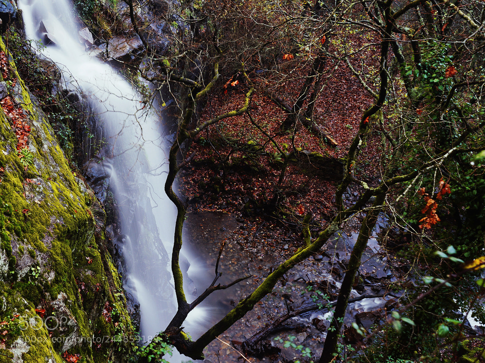 Sony a7 II sample photo. Waterfalls between autumn colours photography