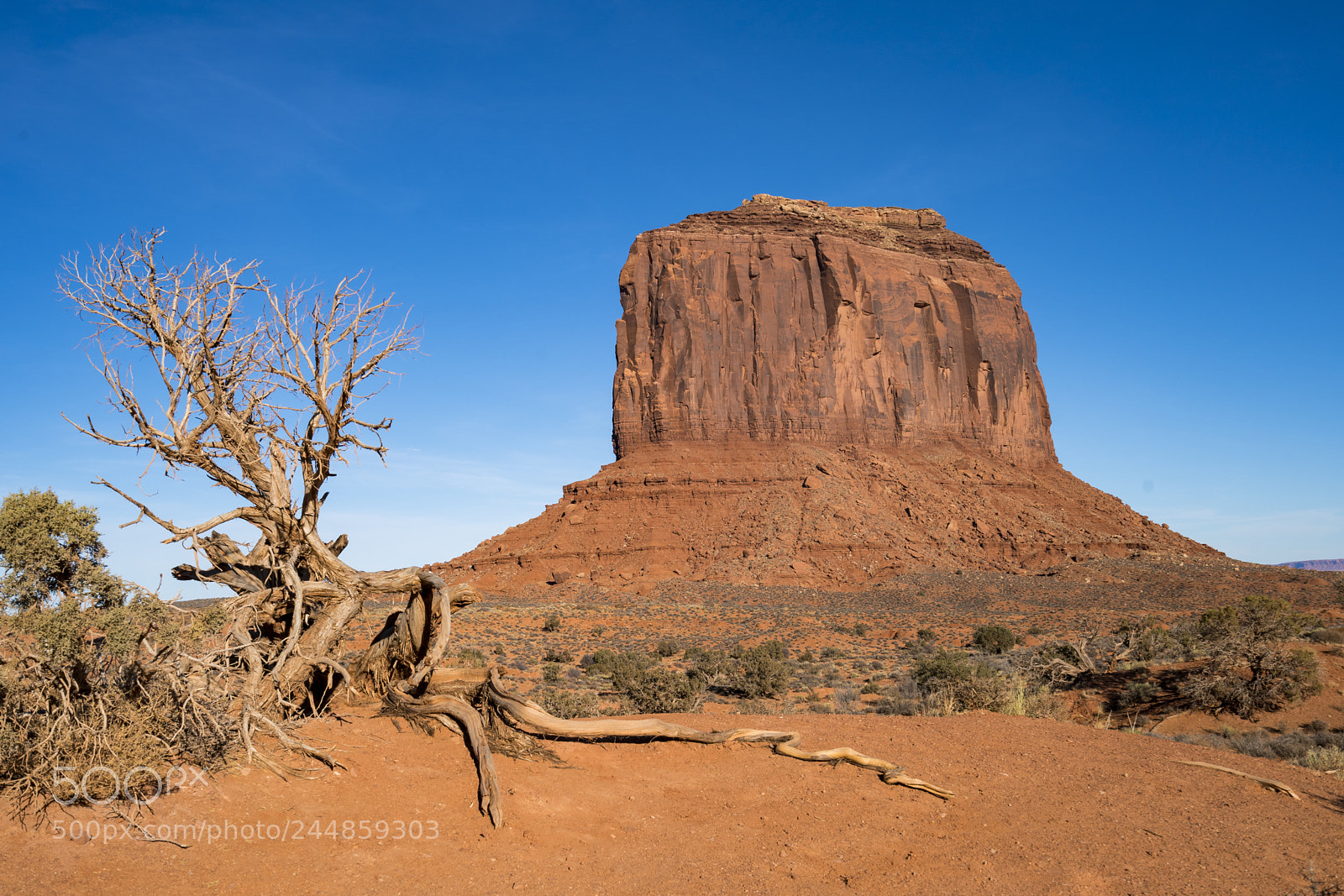 Sony a9 sample photo. Monument with single tree photography