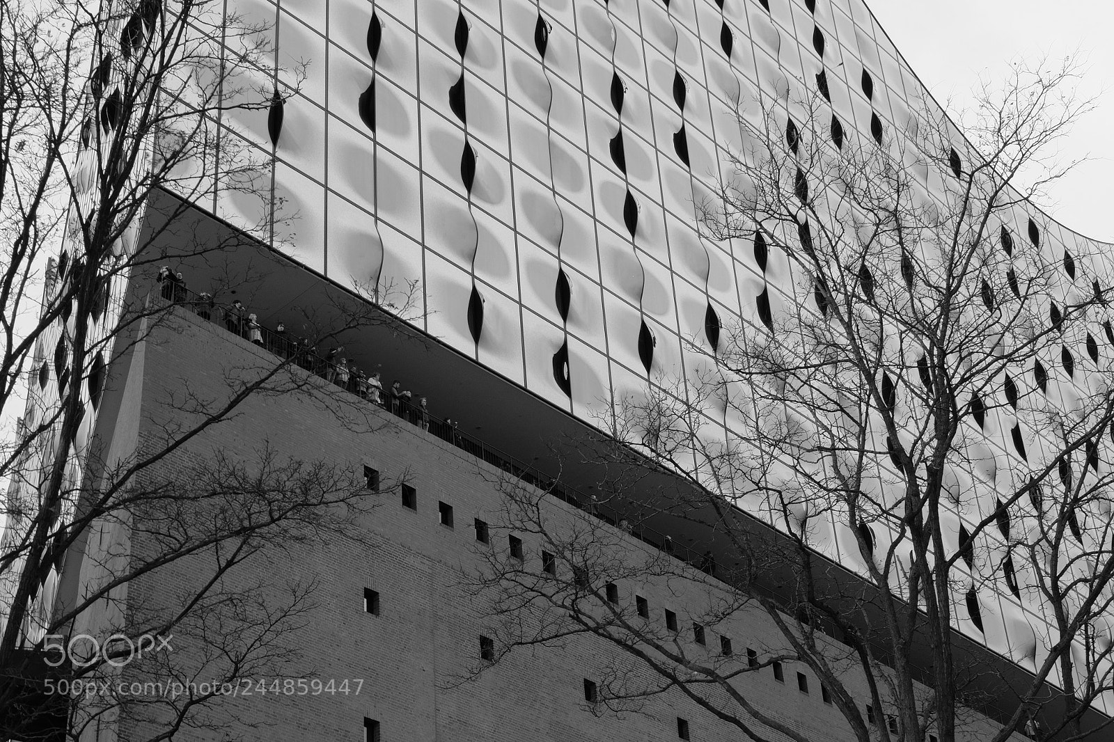 Fujifilm X-T10 sample photo. Elphilharmonie photography