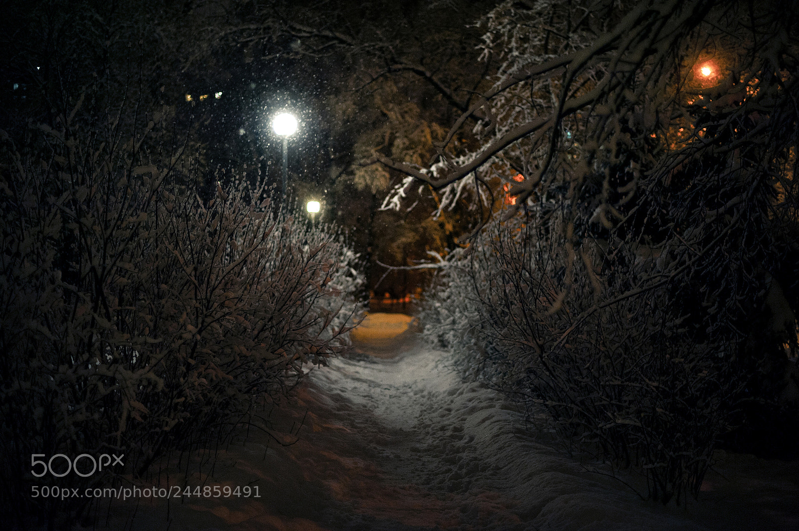 Nikon D700 sample photo. Winter is coming photography