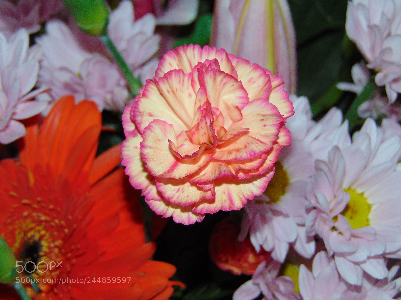 Sony Cyber-shot DSC-H300 sample photo. Dsc photography