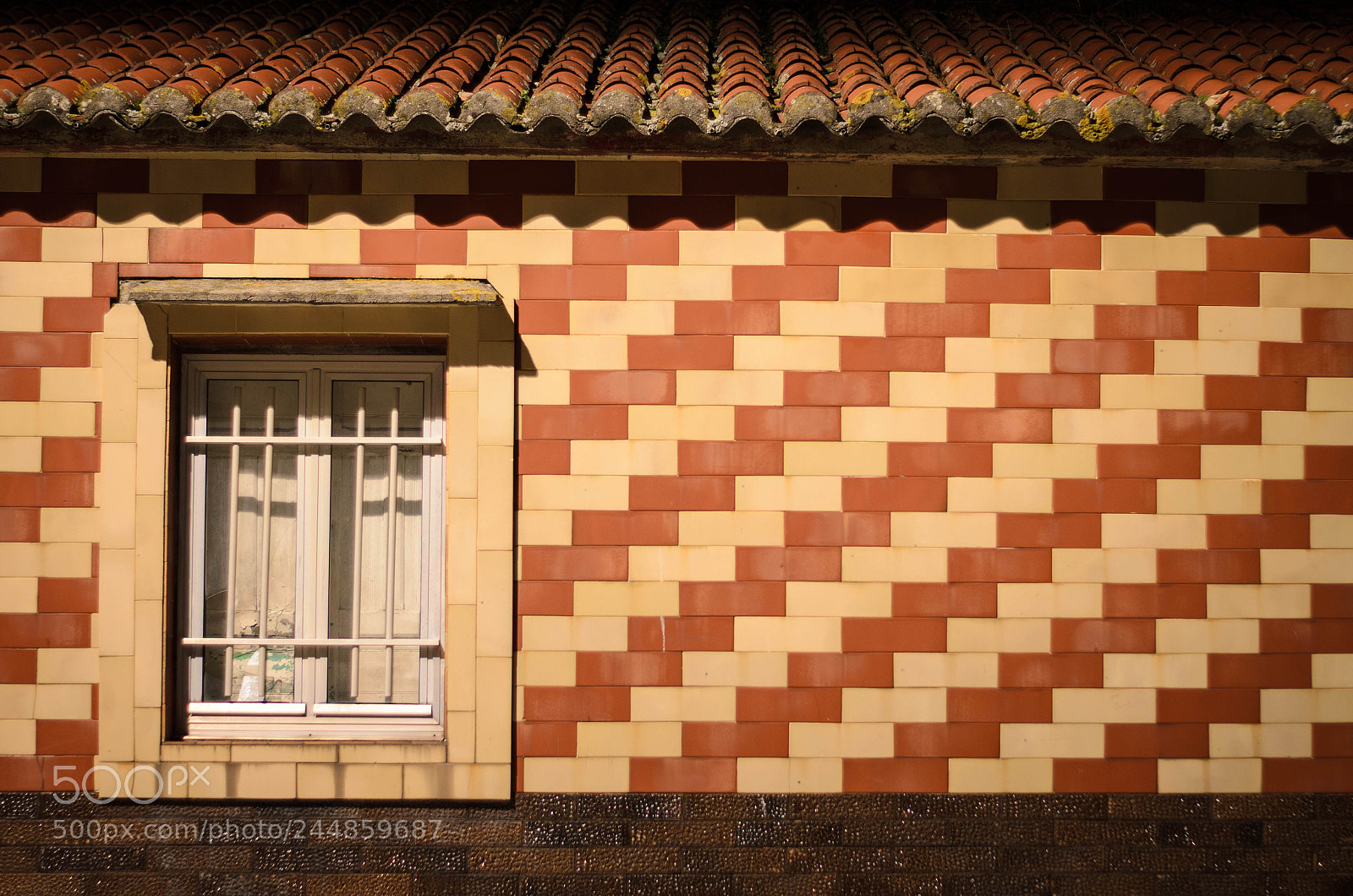 Nikon D5100 sample photo. Window photography