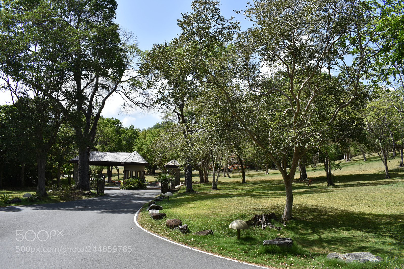 Nikon D3400 sample photo. Temporary.jpg photography