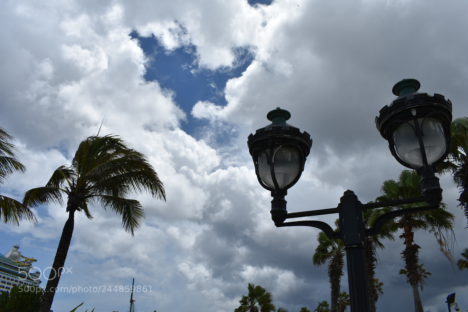 Nikon D3400 sample photo. Temporary.jpg photography