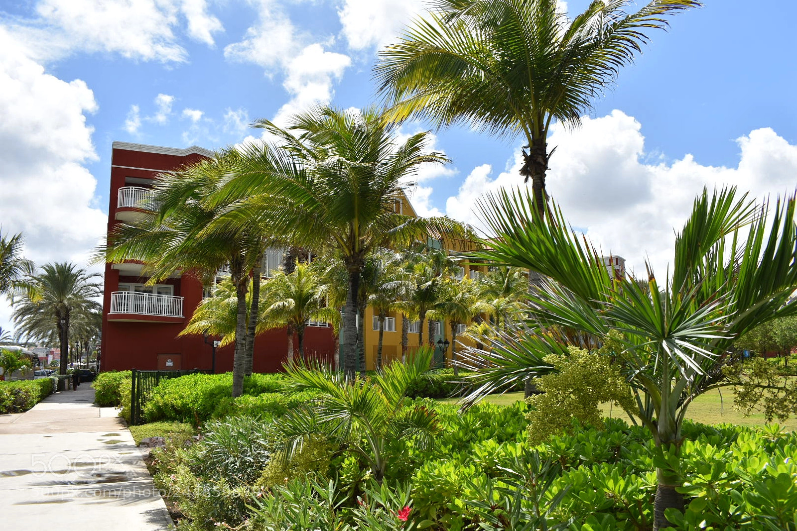 Nikon D3400 sample photo. Temporary.jpg photography