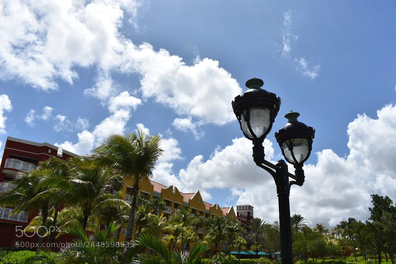 Nikon D3400 sample photo. Temporary.jpg photography