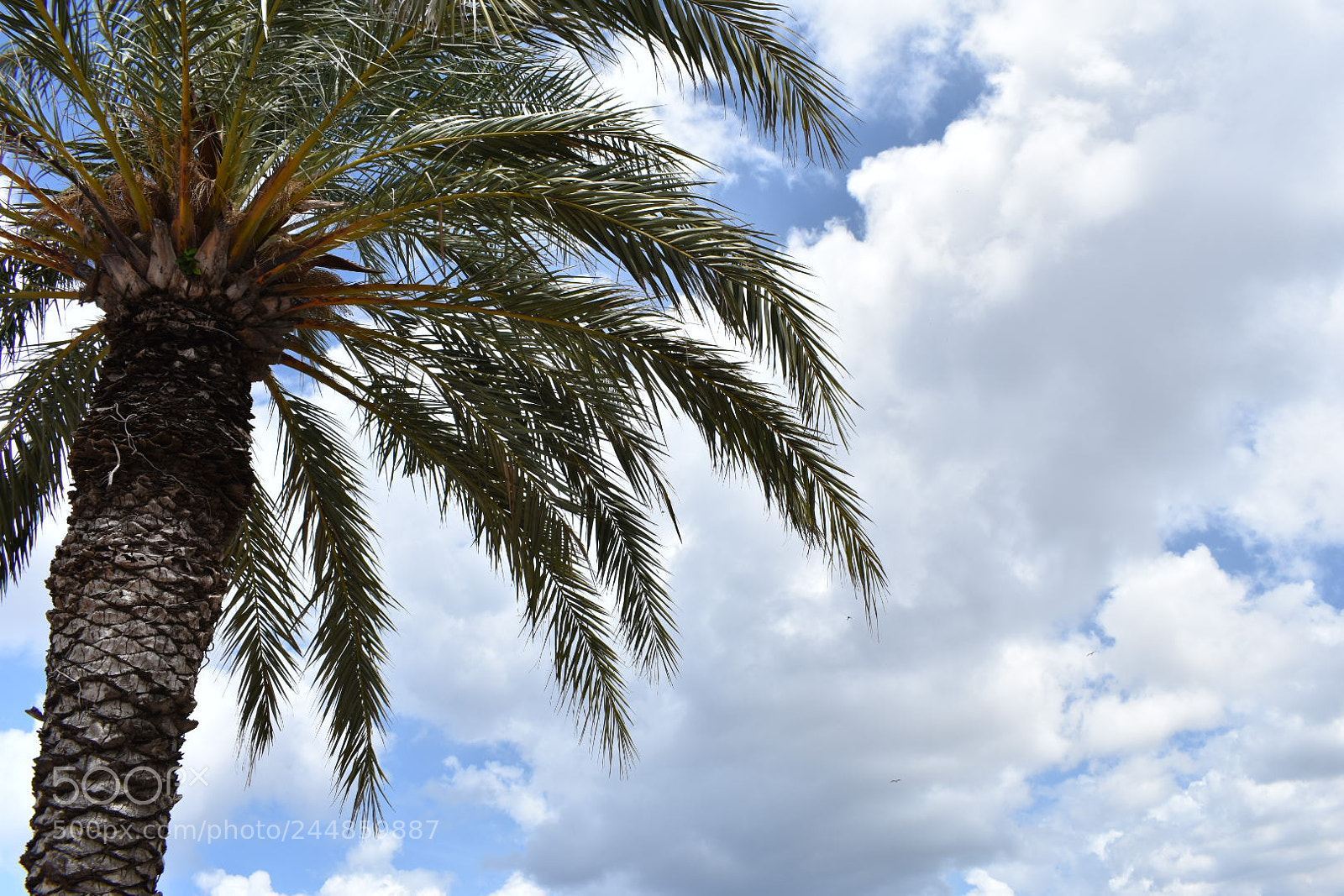 Nikon D3400 sample photo. Temporary.jpg photography