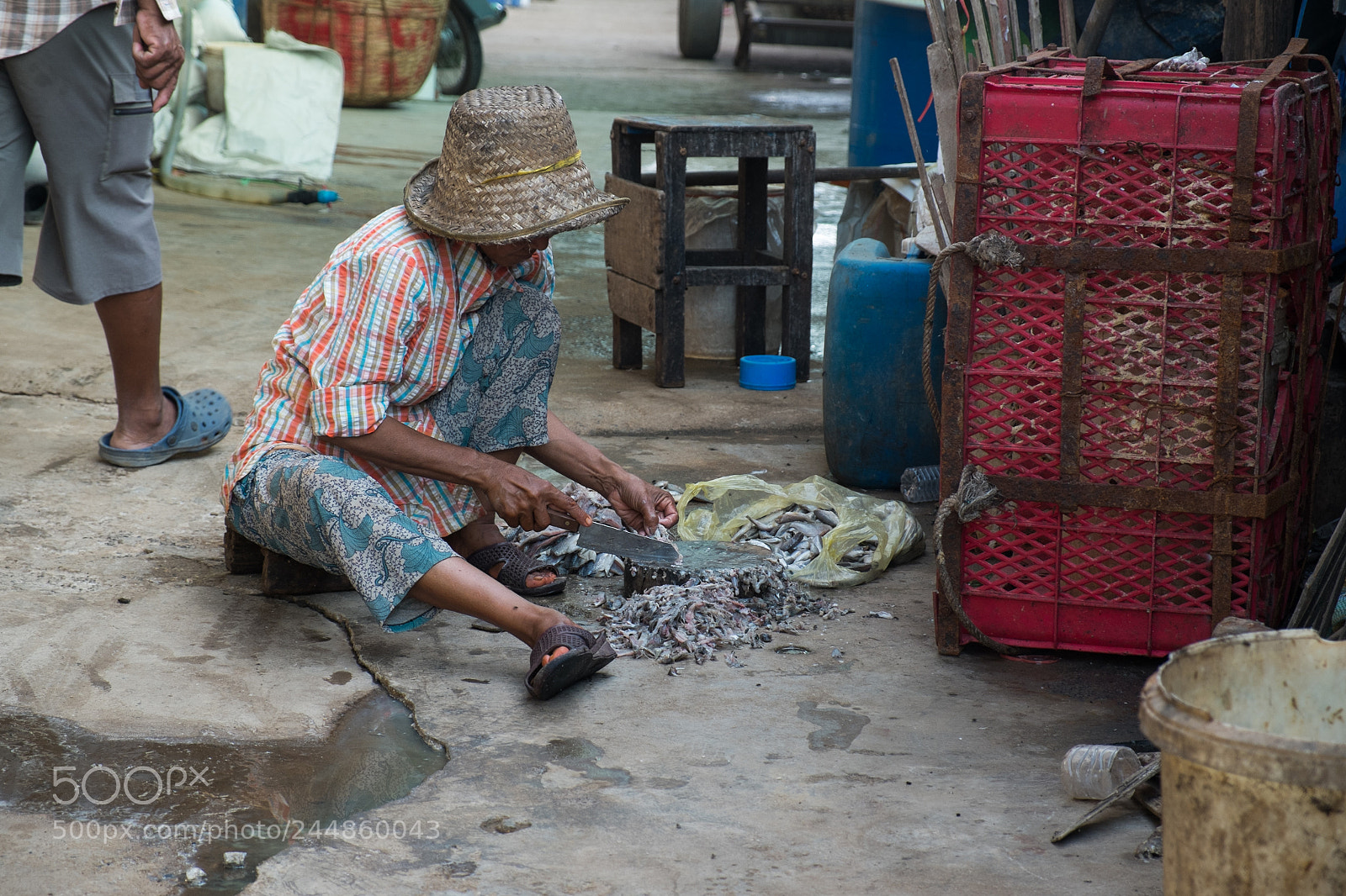 Fujifilm X-E1 sample photo. Fish market battambang photography