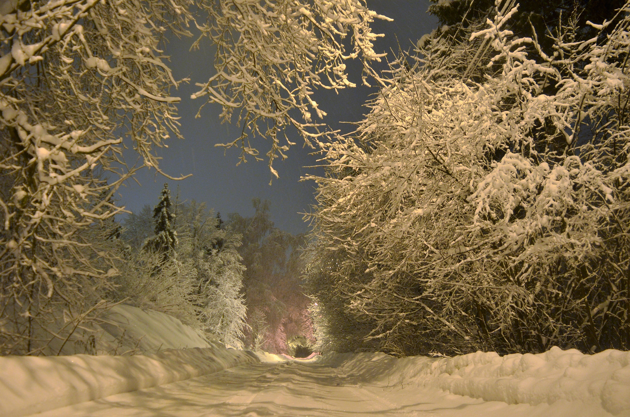 Nikon D5100 sample photo. Зимняя дорога | a winter road photography