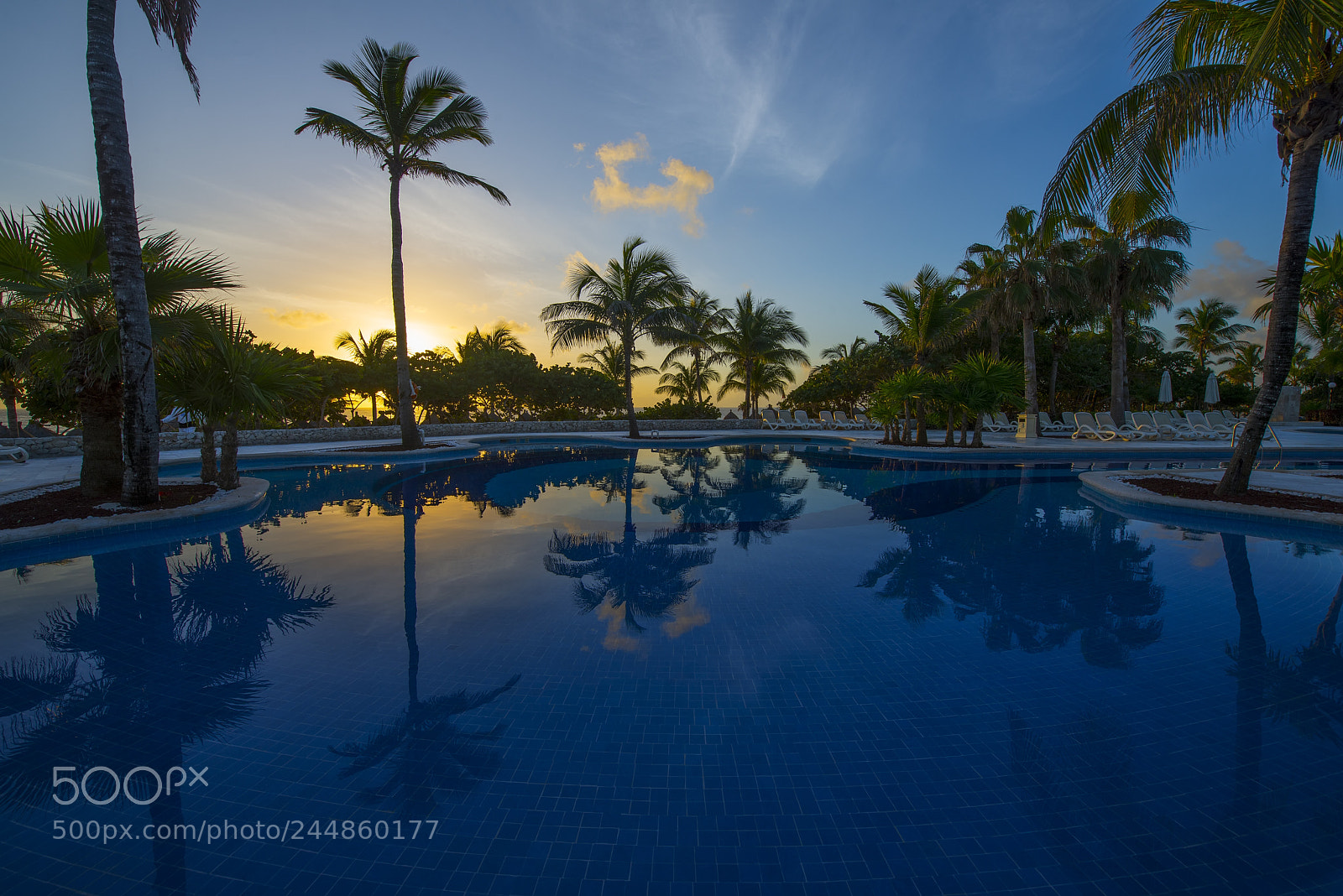 Nikon D800 sample photo. Palm tree reflections photography