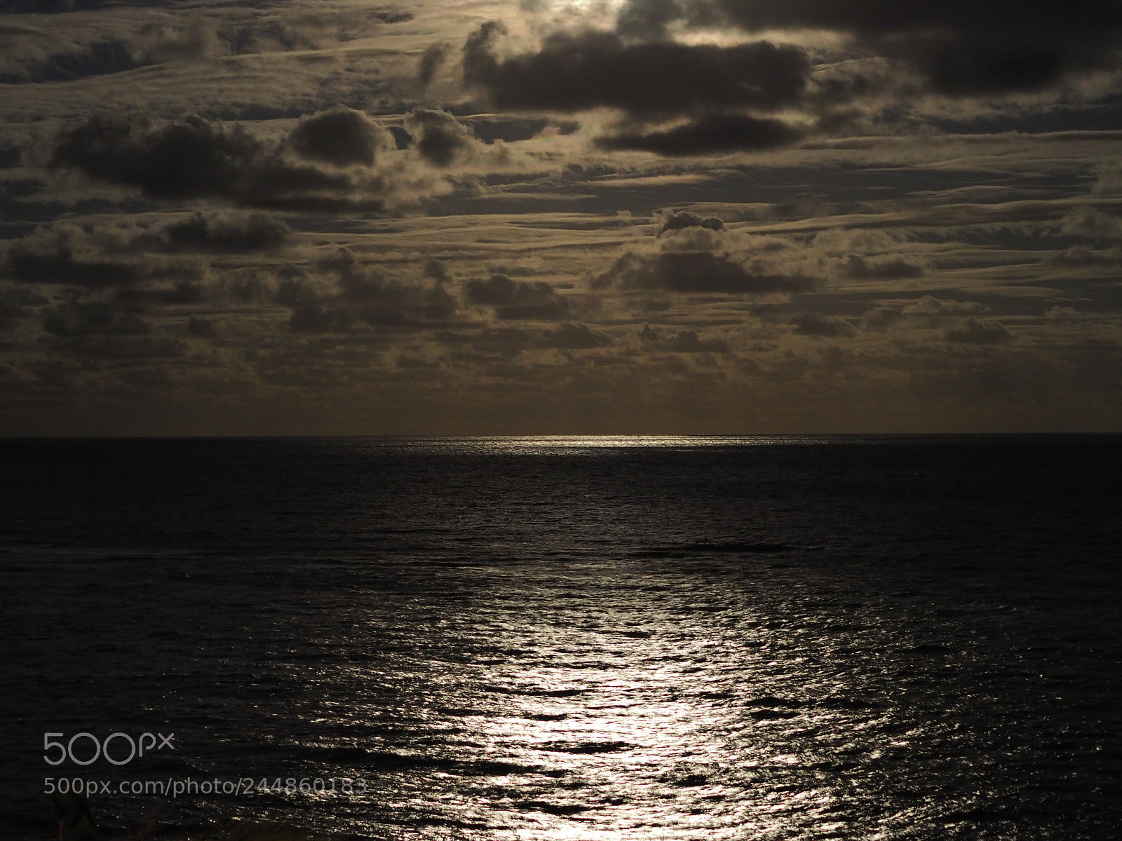 Olympus OM-D E-M10 II sample photo. Moonlight becomes you. photography
