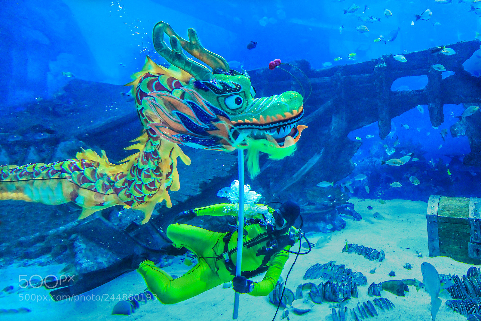 Canon EOS 60D sample photo. Dragon dancing photography