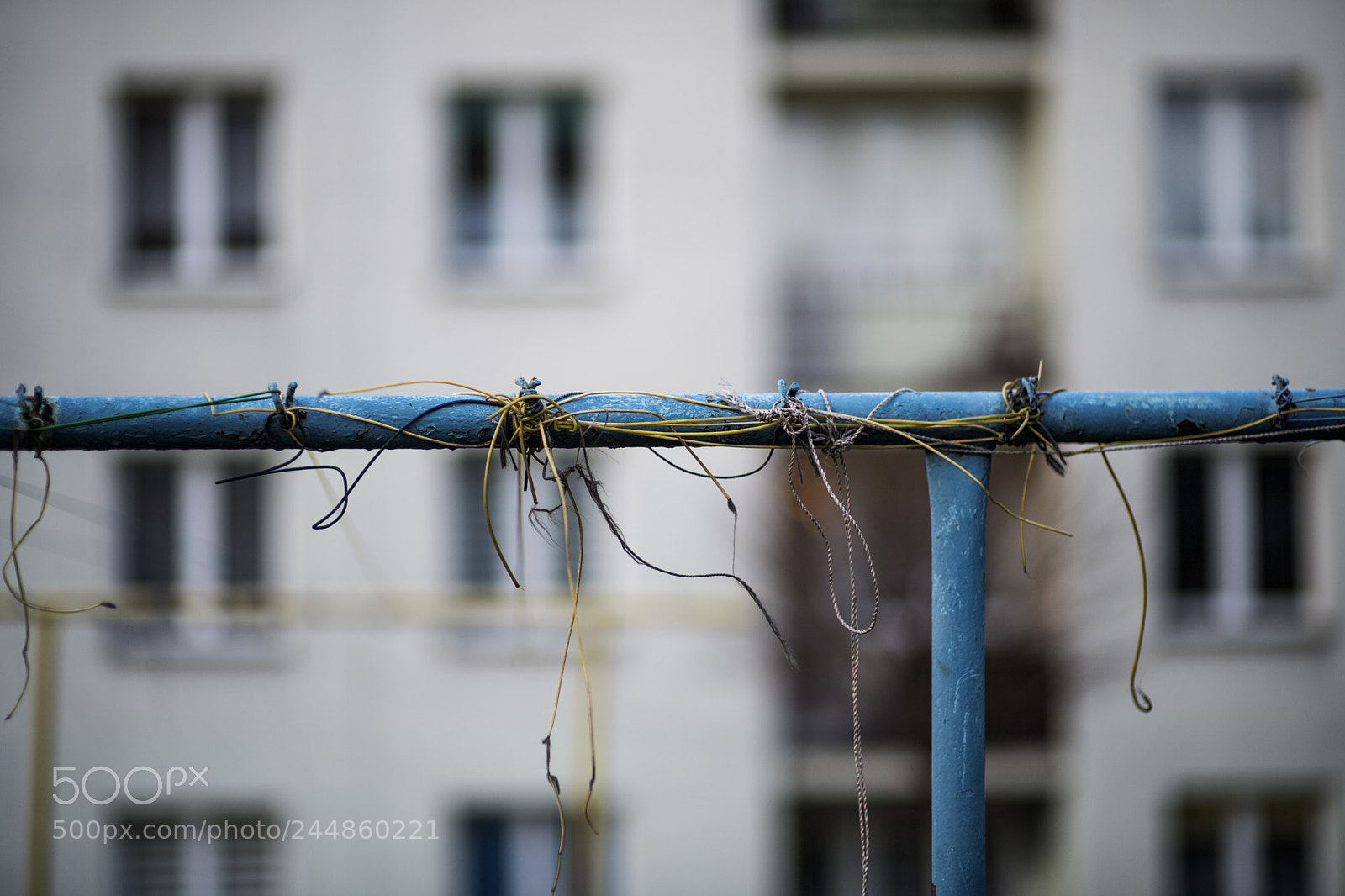 Nikon D5 sample photo. Untitled photography