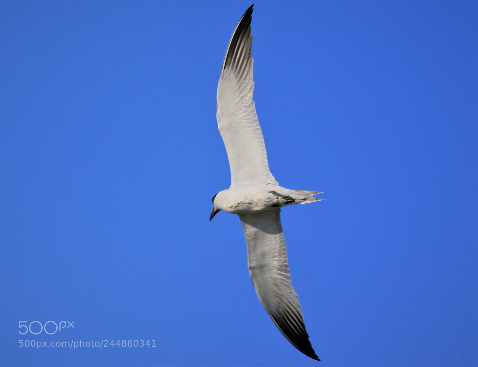Canon EOS 7D Mark II sample photo. Untitled photography