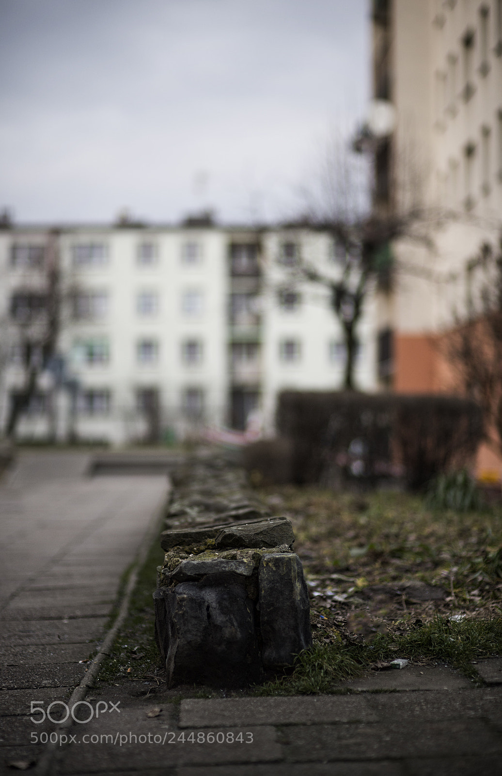 Nikon D5 sample photo. Untitled photography