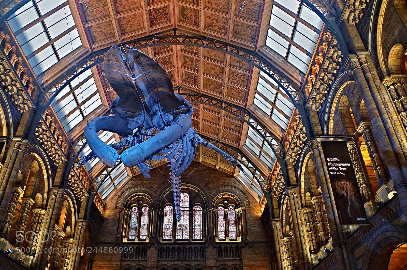 Pentax K-50 sample photo. Natural history museum london photography