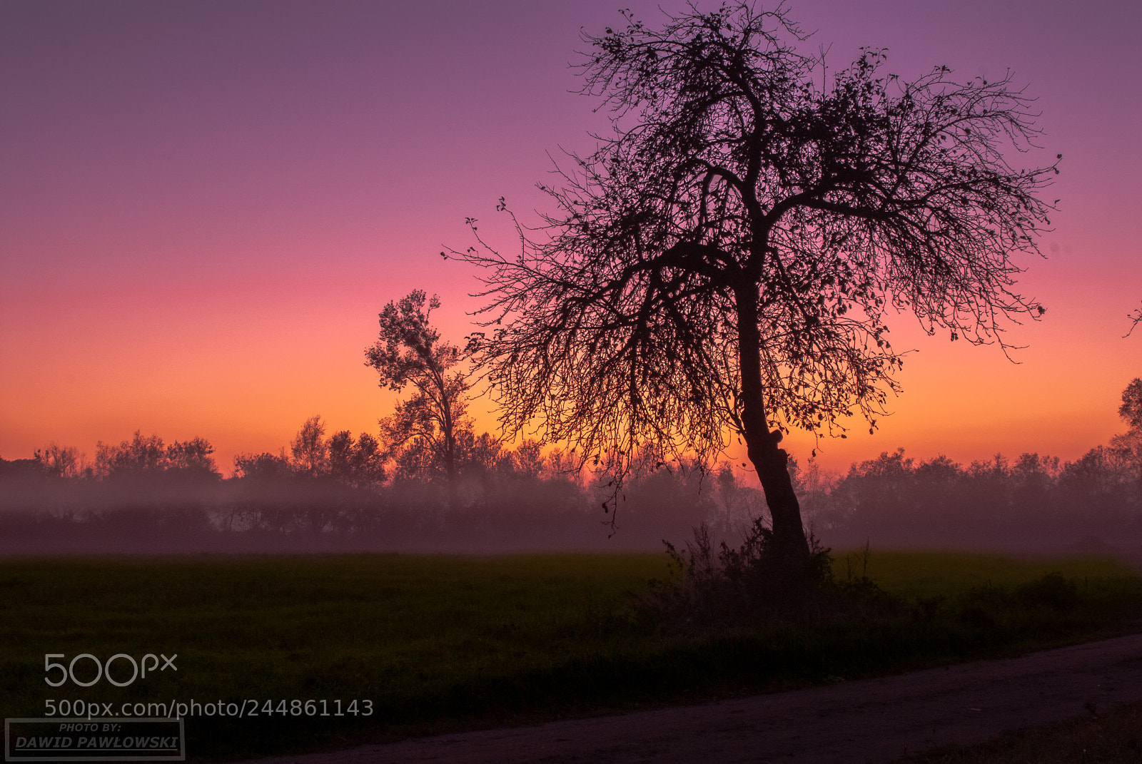 Nikon D200 sample photo. Sunset photography