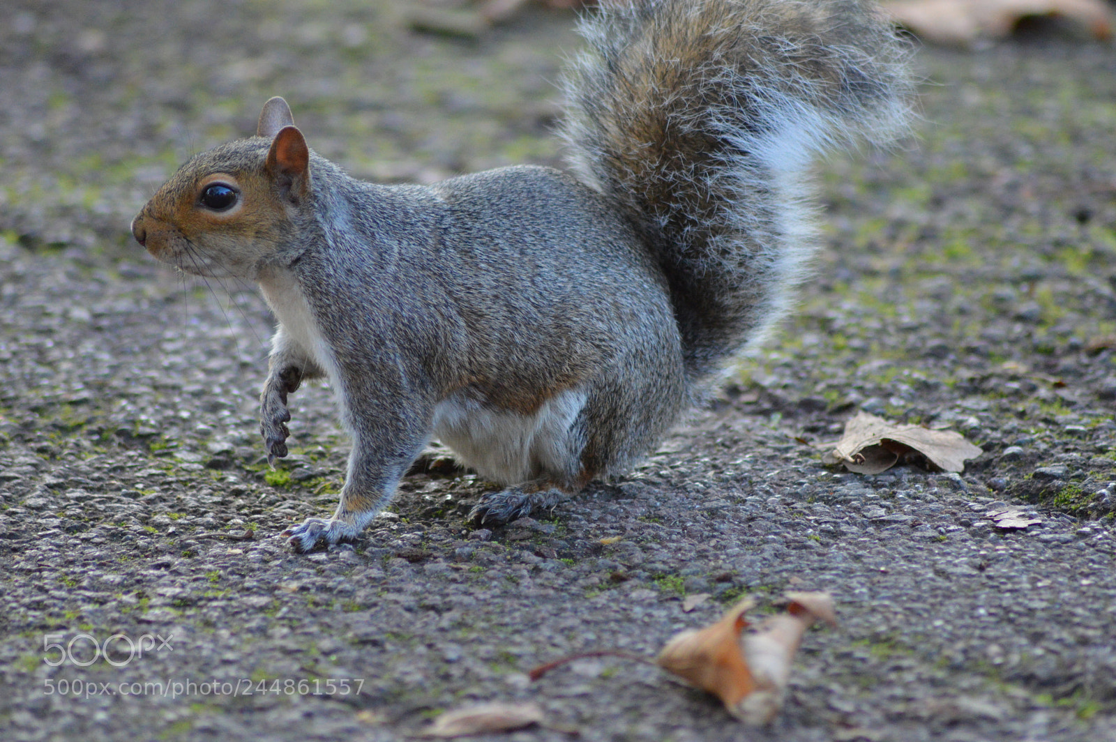 Nikon D3200 sample photo. Untitled photography