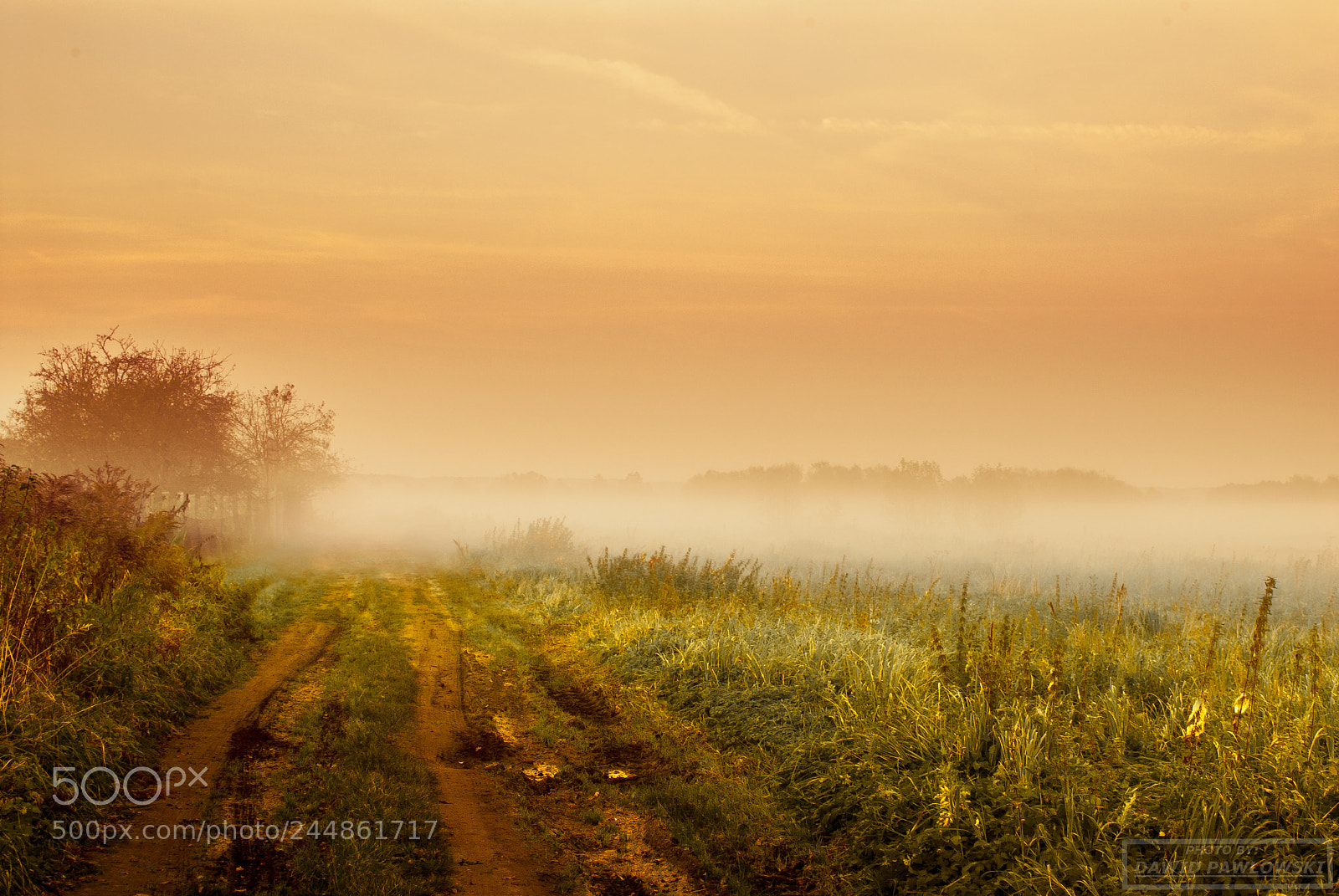 Nikon D200 sample photo. Fog photography