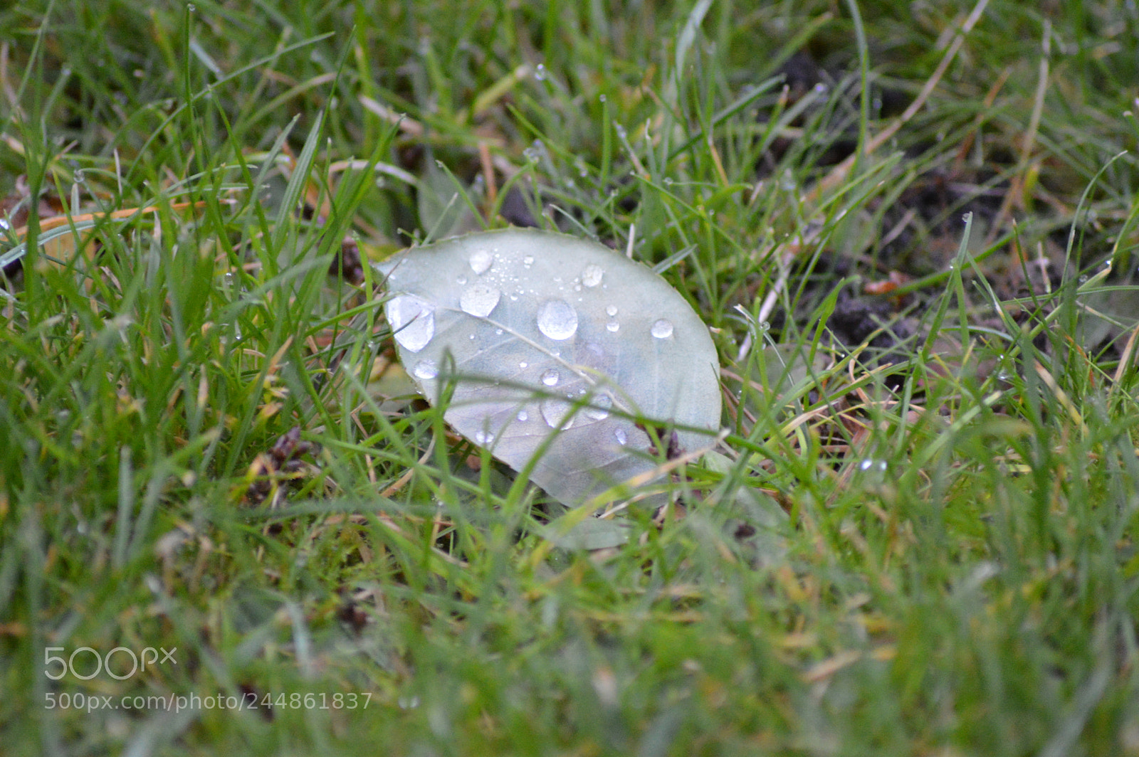 Nikon D3200 sample photo. Untitled photography