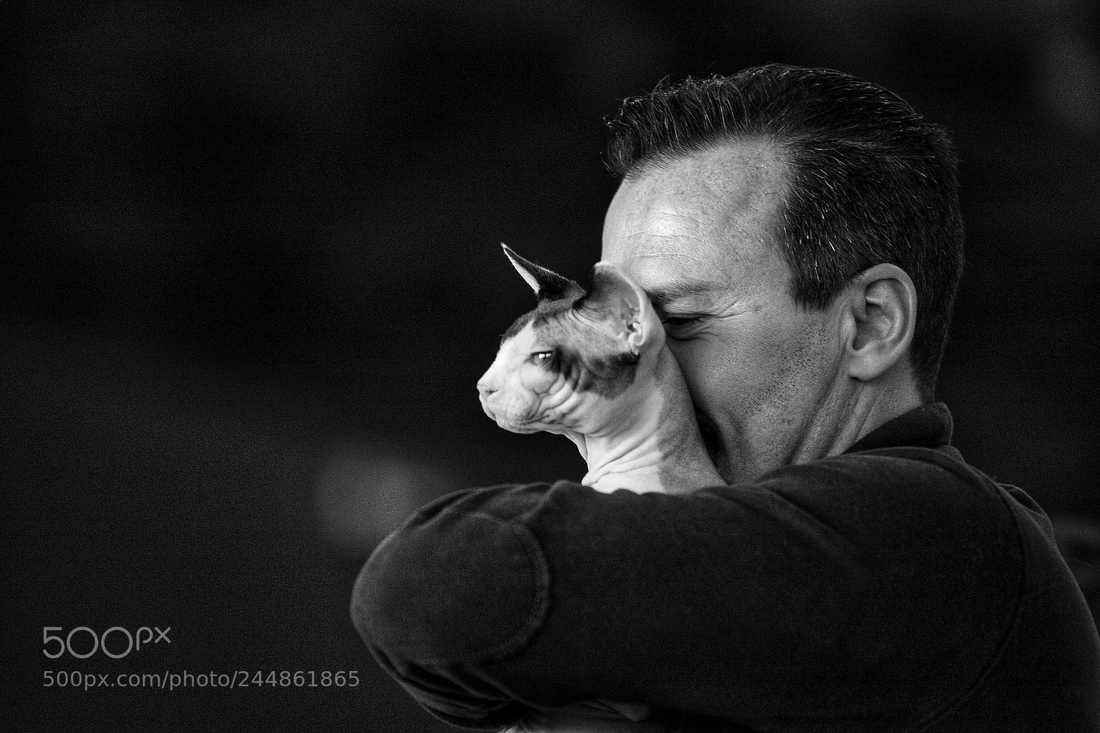 Canon EOS-1D Mark III sample photo. Sphynx cat and his photography