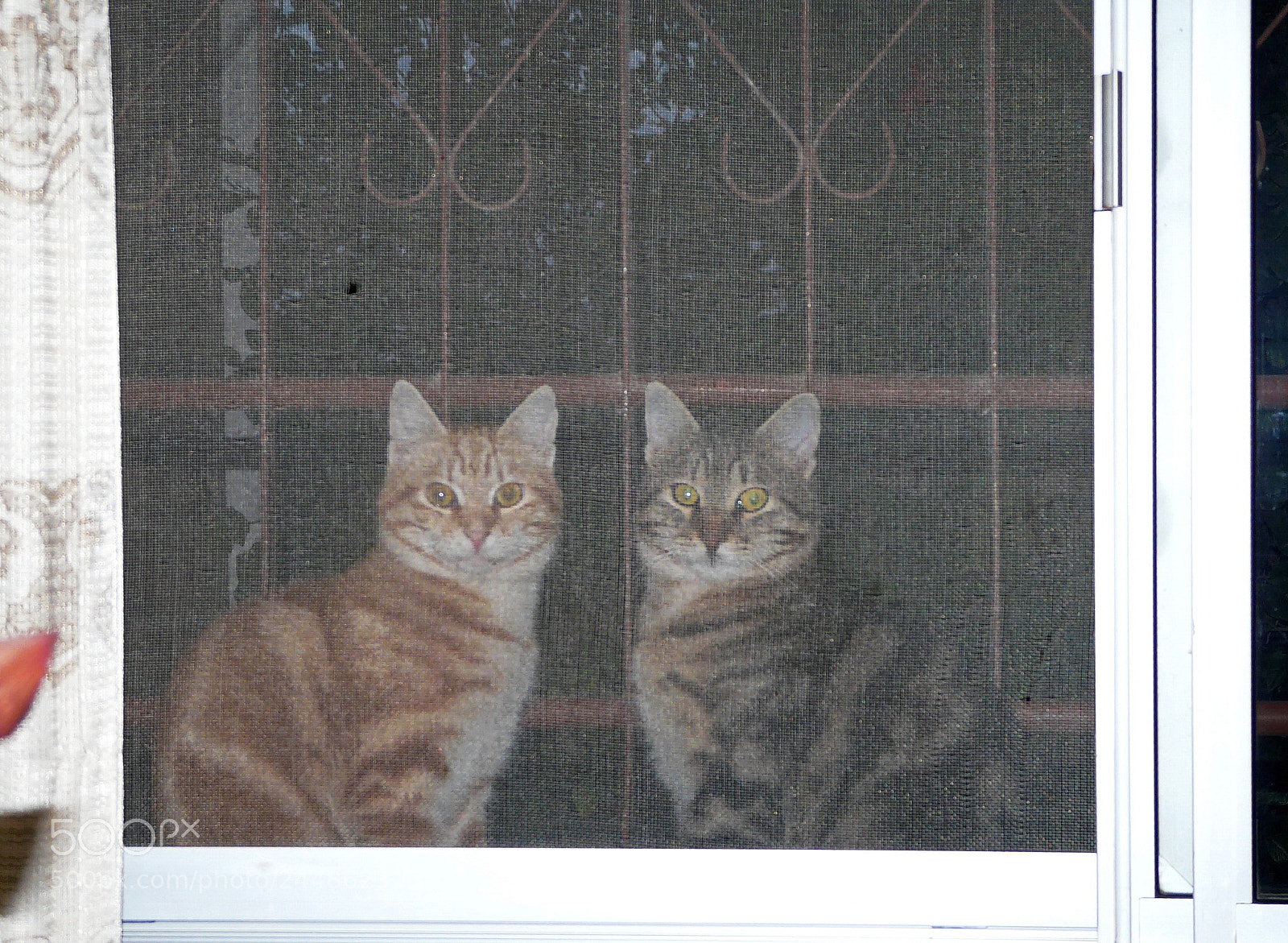 Panasonic DMC-FZ18 sample photo. The brothers... photography