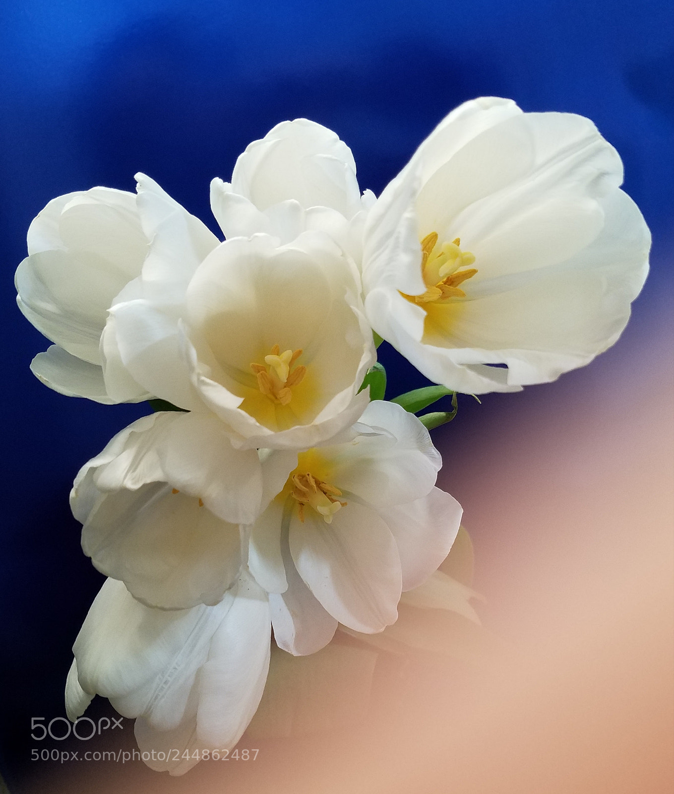 Samsung Galaxy S7 Edge sample photo. White bouquet photography