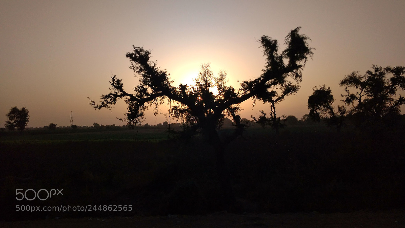 Xiaomi Redmi 4A sample photo. Untitled photography