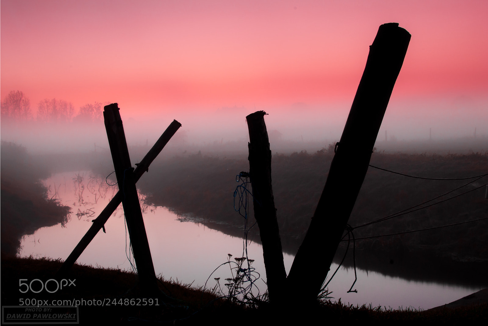 Nikon D200 sample photo. Fog photography