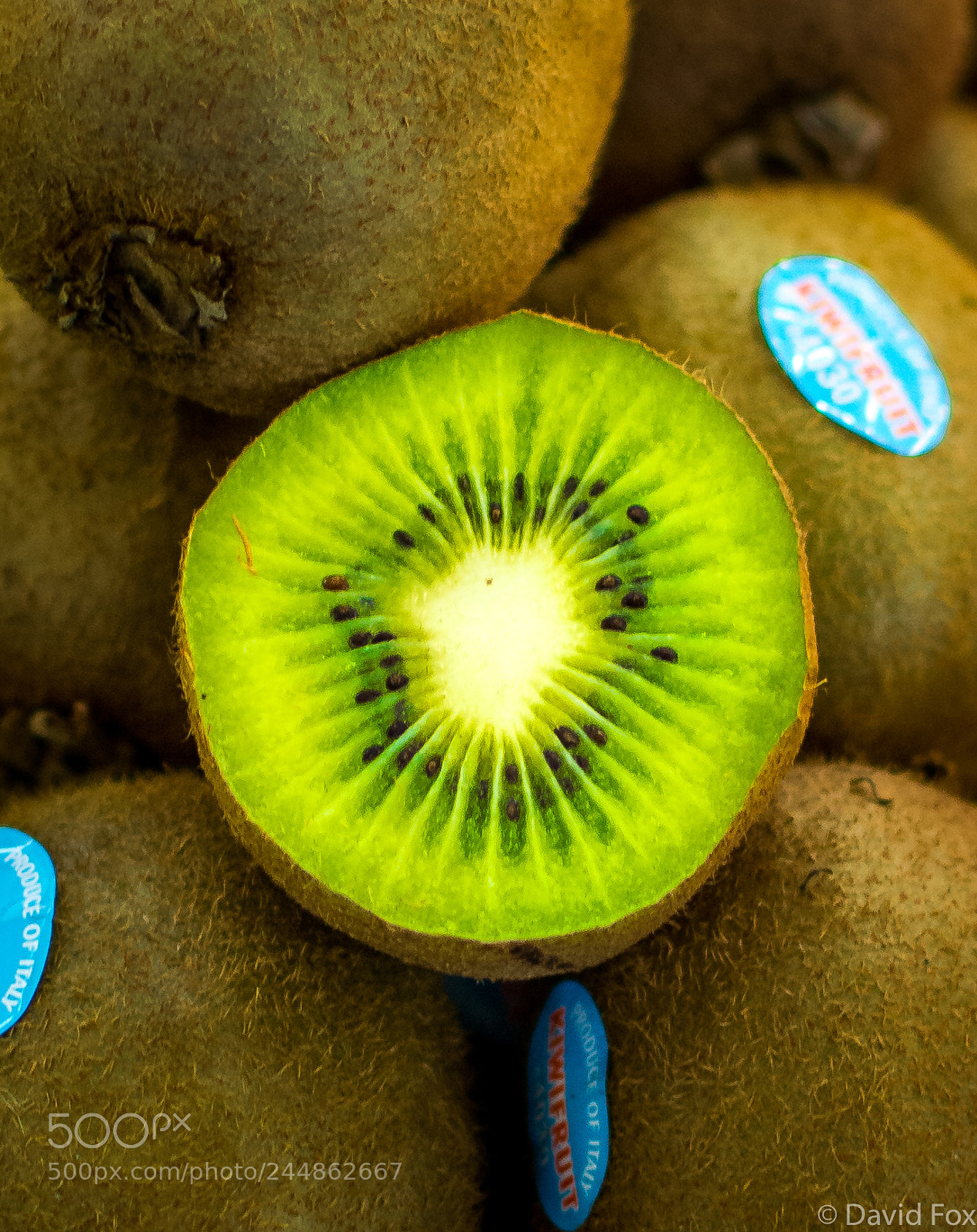 Nikon D7100 sample photo. Kiwi photography