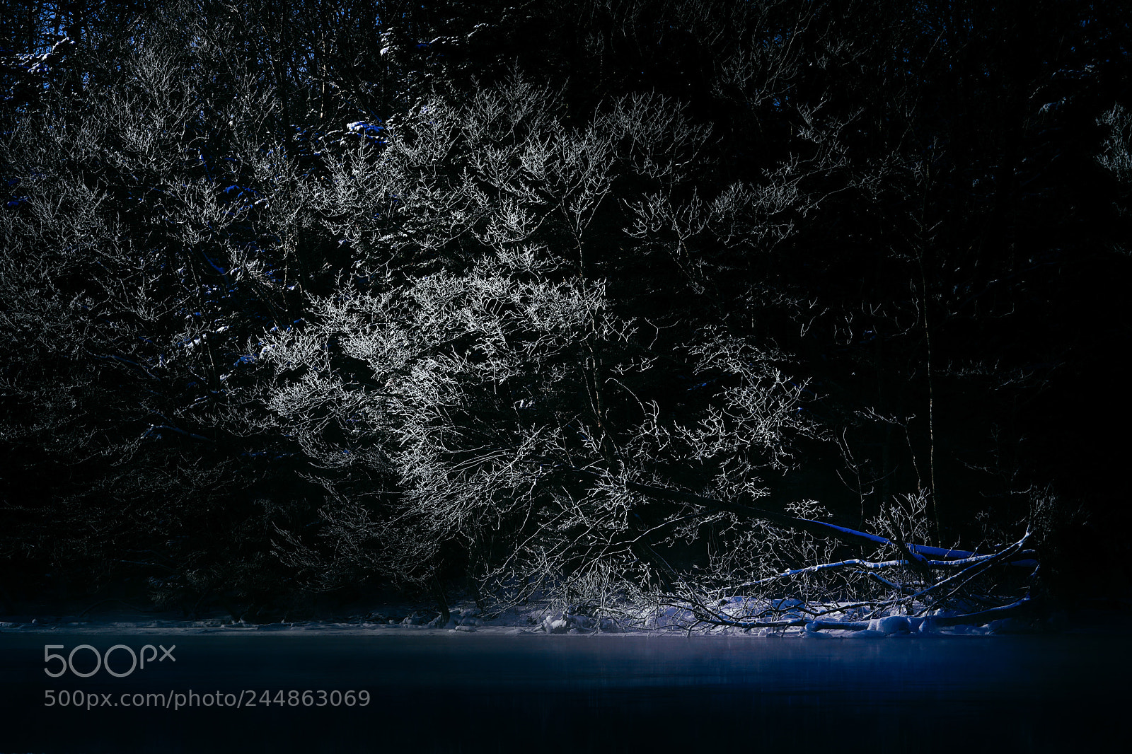 Sony a9 sample photo. Silent photography