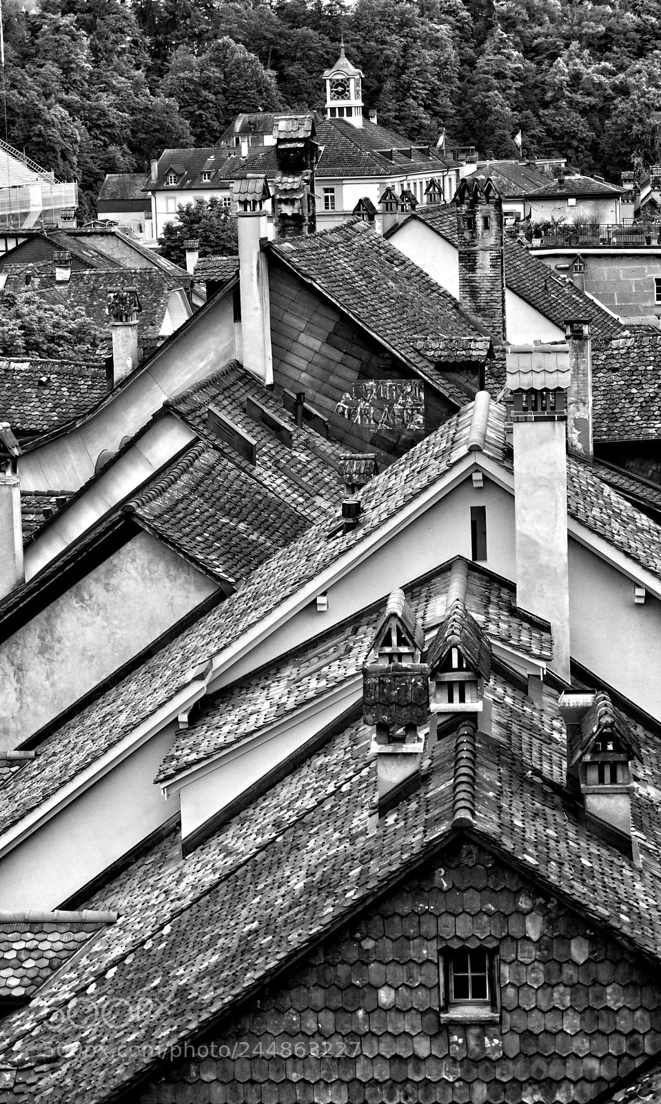 Sony ILCA-77M2 sample photo. Untitled photography