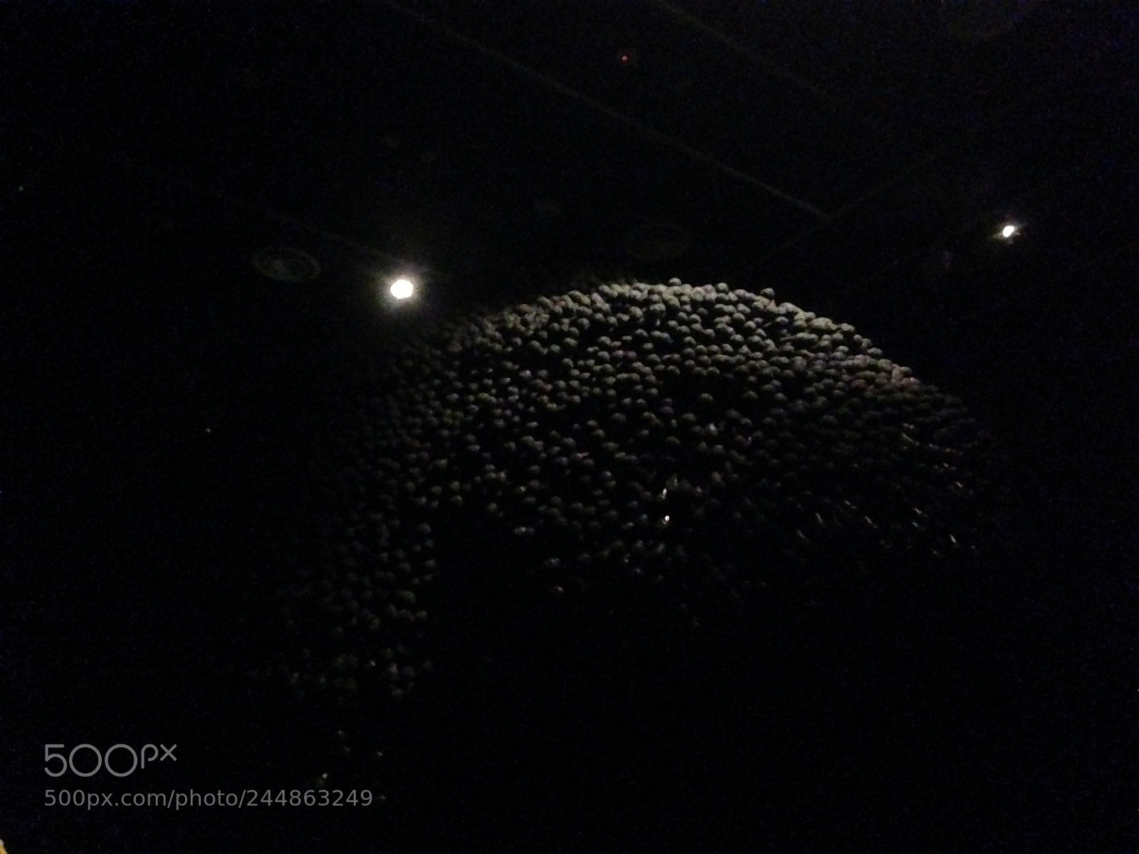Apple iPhone 5 sample photo. The ball of microphones ? photography