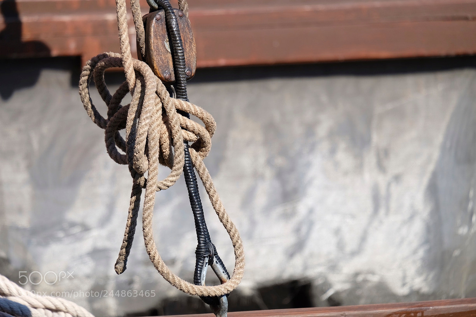 Fujifilm X-T10 sample photo. Untitled photography