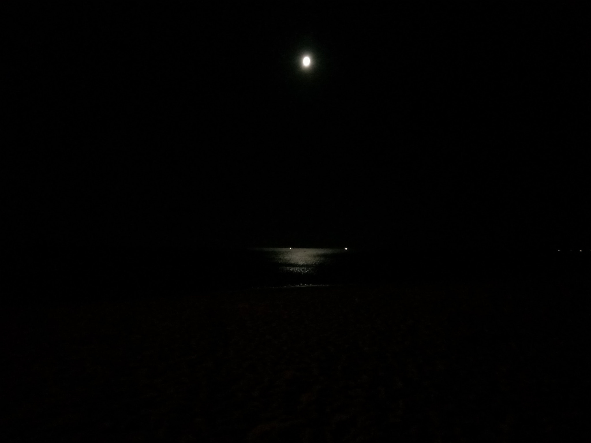OPPO CPH1609 sample photo