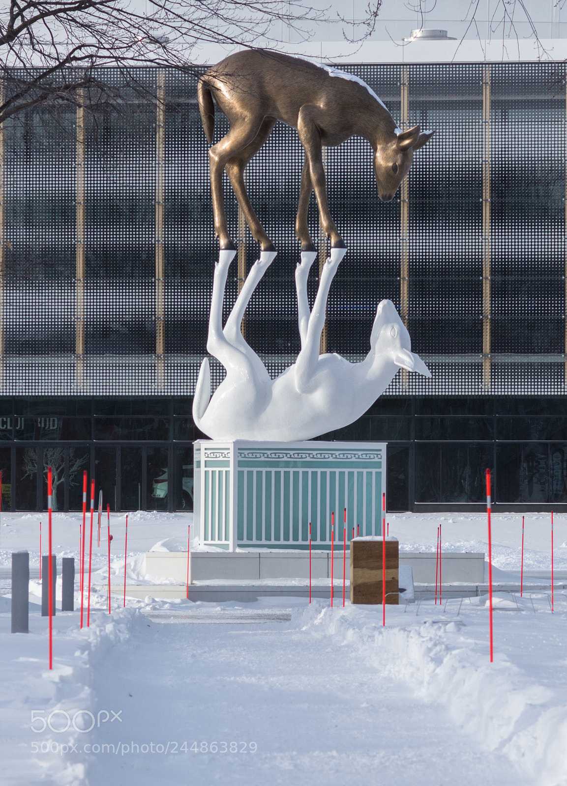 Nikon D7200 sample photo. Sculpture on videotron center photography