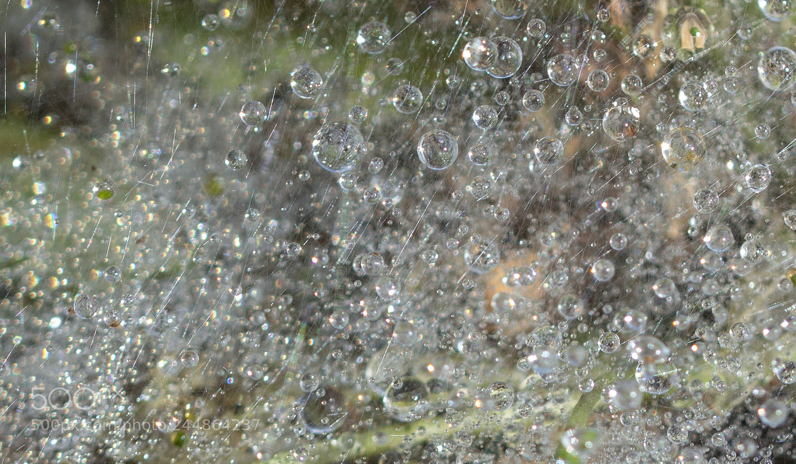 Nikon D7100 sample photo. Water drops photography
