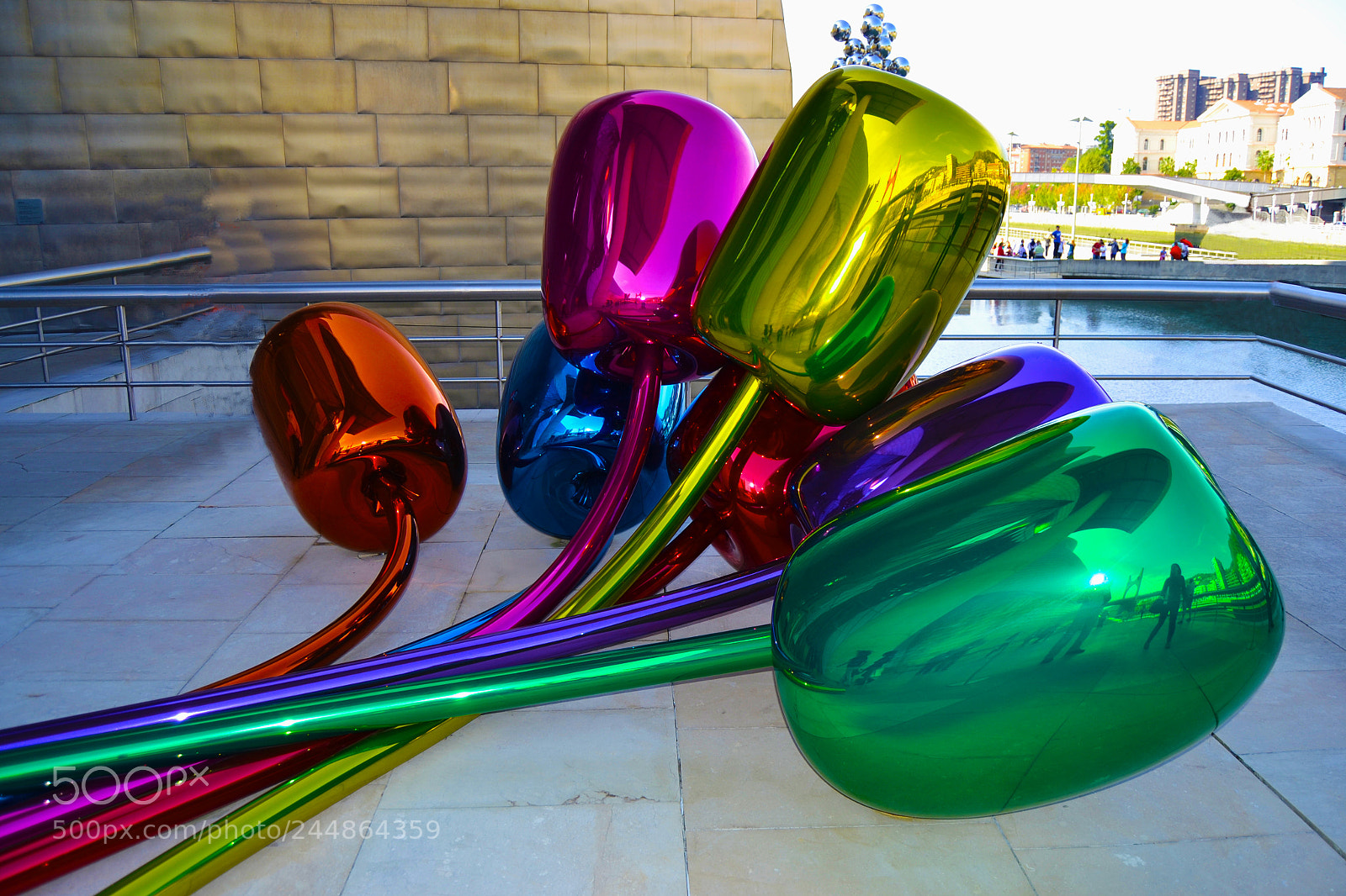 Nikon D3100 sample photo. Tulipanes. jeff koons. guggenheim photography