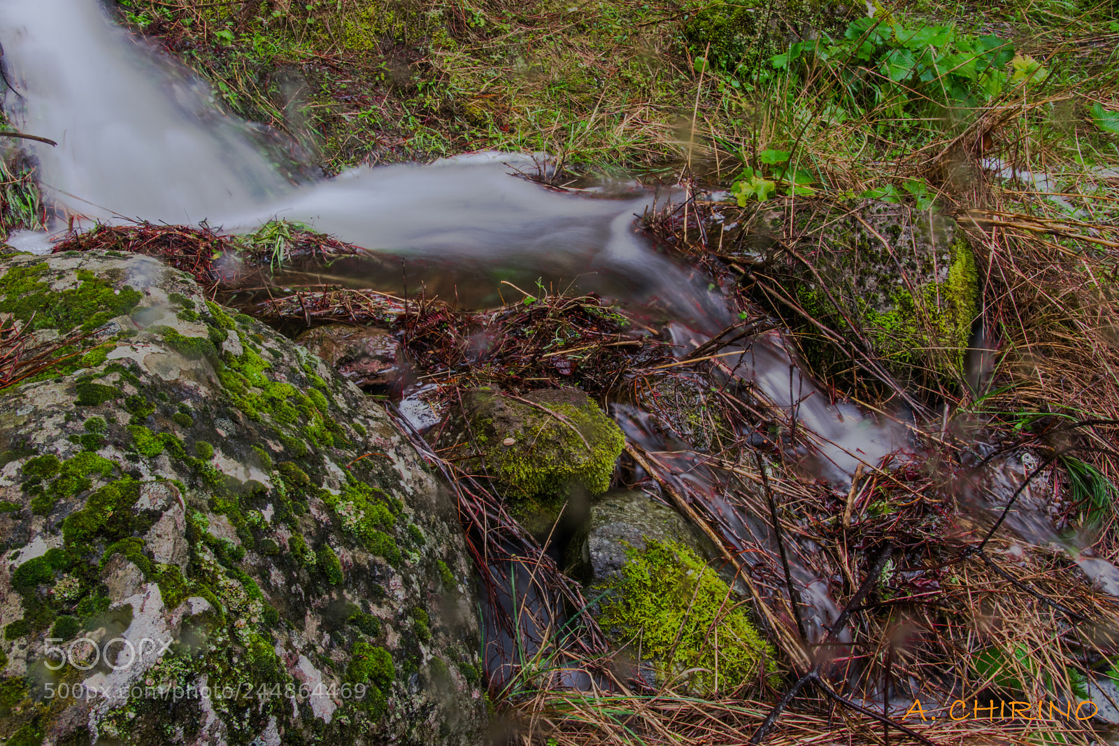 Nikon D3400 sample photo. Pure nature photography