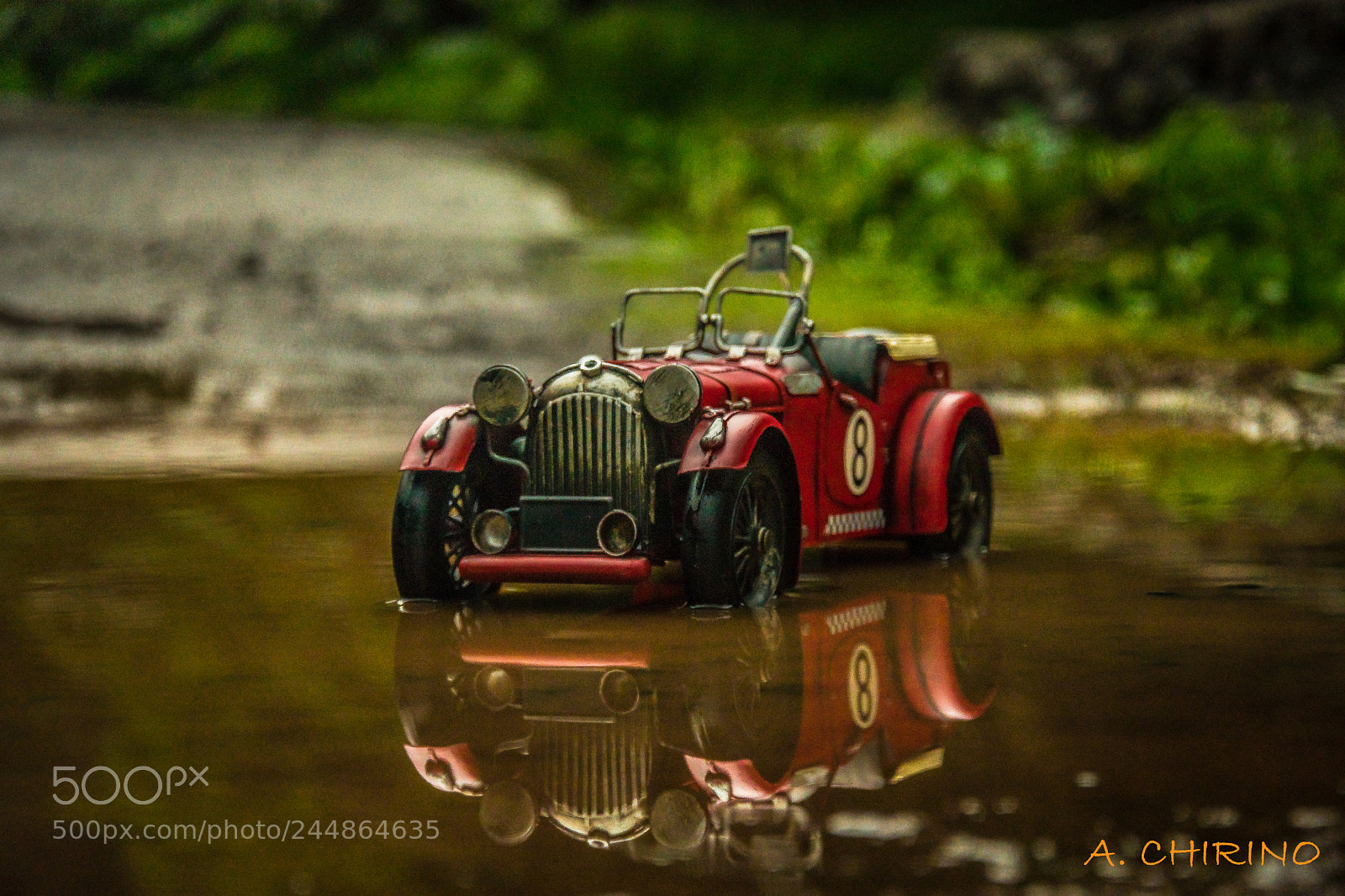 Nikon D3400 sample photo. Miniature photography