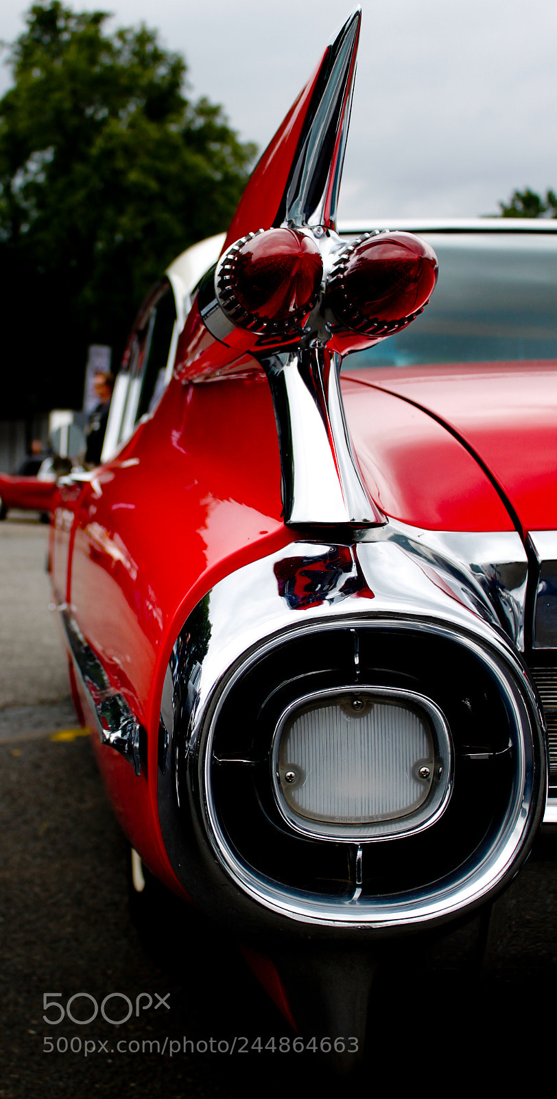 Canon EOS 500D (EOS Rebel T1i / EOS Kiss X3) sample photo. Tailfin photography