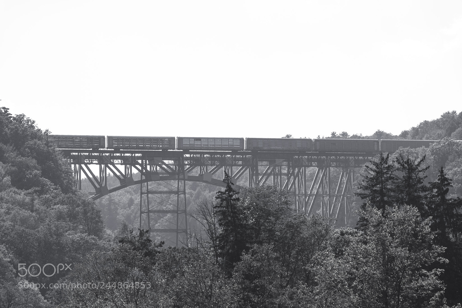 Canon EOS 760D (EOS Rebel T6s / EOS 8000D) sample photo. Letchworth trestle bridge photography