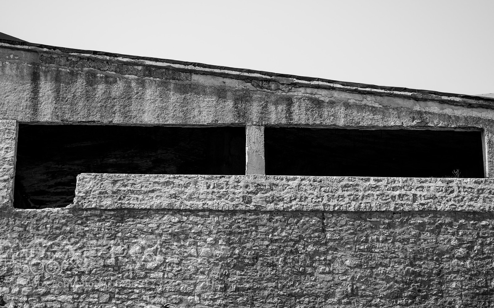 Nikon D5100 sample photo. Malo mudroserim photography