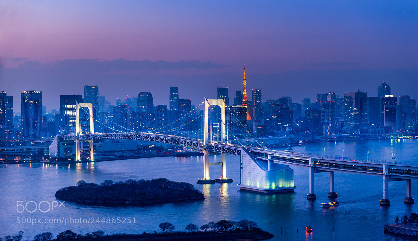 Nikon D610 sample photo. Tokyo civil twilight photography