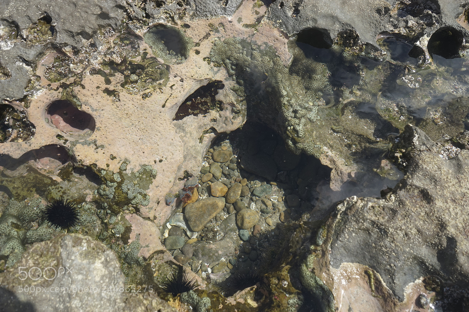 Sony a7 sample photo. Volcanic creations photography