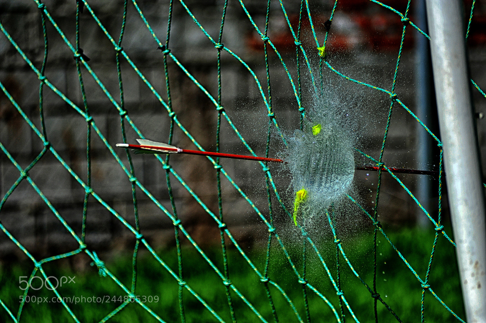 Nikon D700 sample photo. Untitled photography
