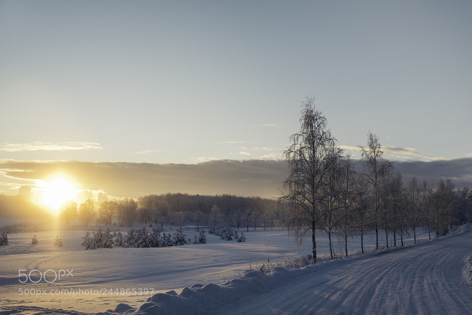 Fujifilm X-T2 sample photo. Winter road photography