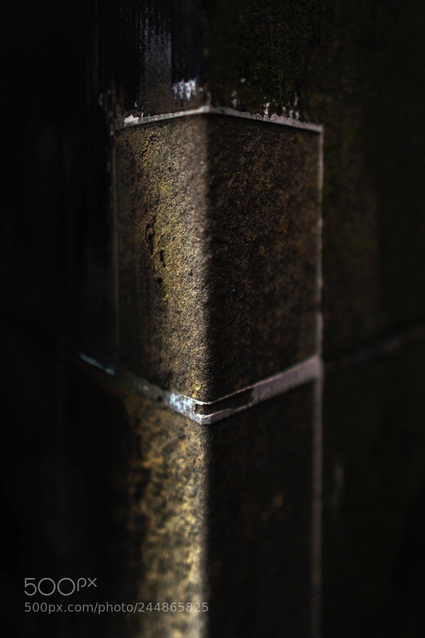 Sony Alpha NEX-6 sample photo. Cornerstone photography