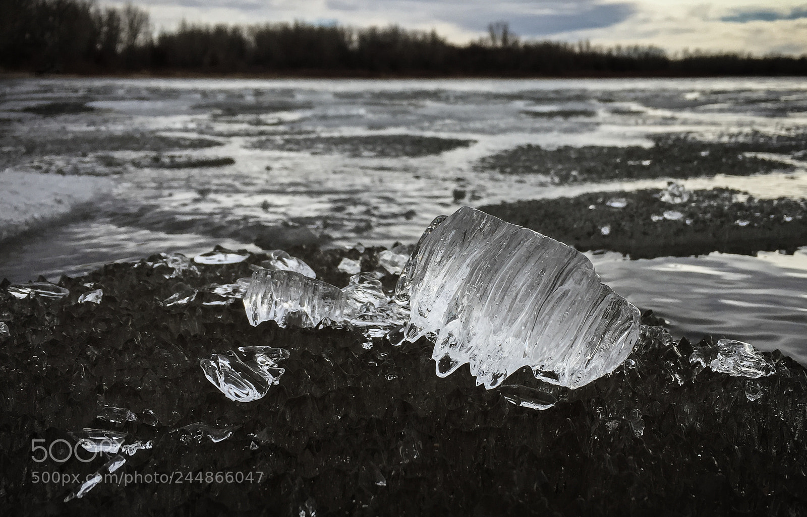 Apple iPhone 6 sample photo. Ice day at the photography